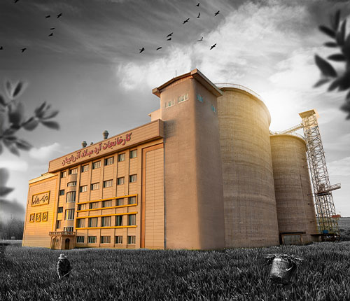 آرد میلاد آذربایجان