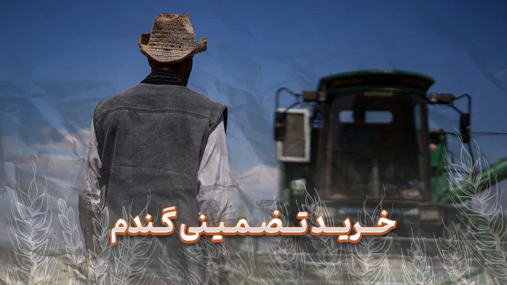 خرید تضمینی گندم 1404