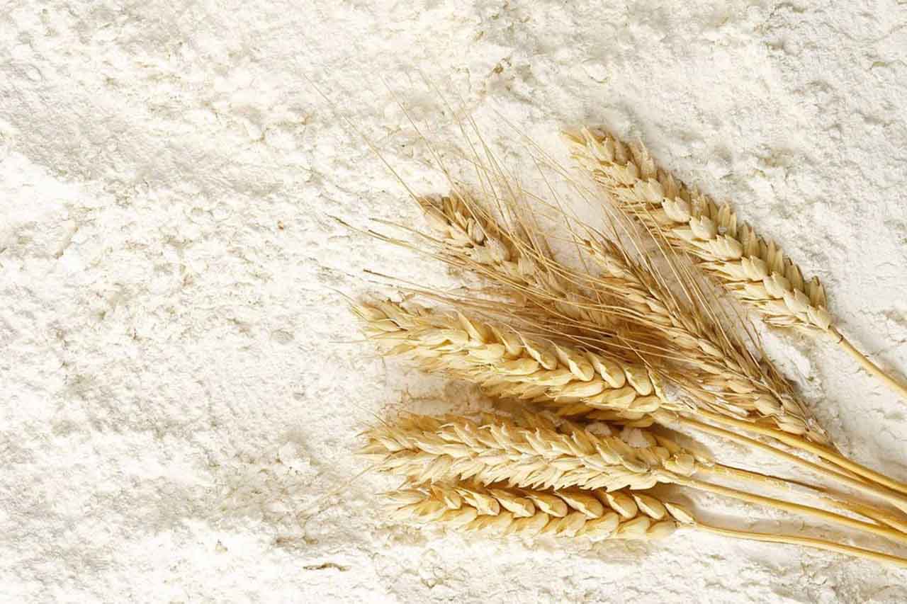 انواع گندم و تأثیر آن بر کیفیت آرد